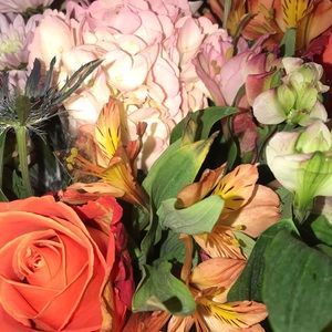 Meet your Posher, Marie